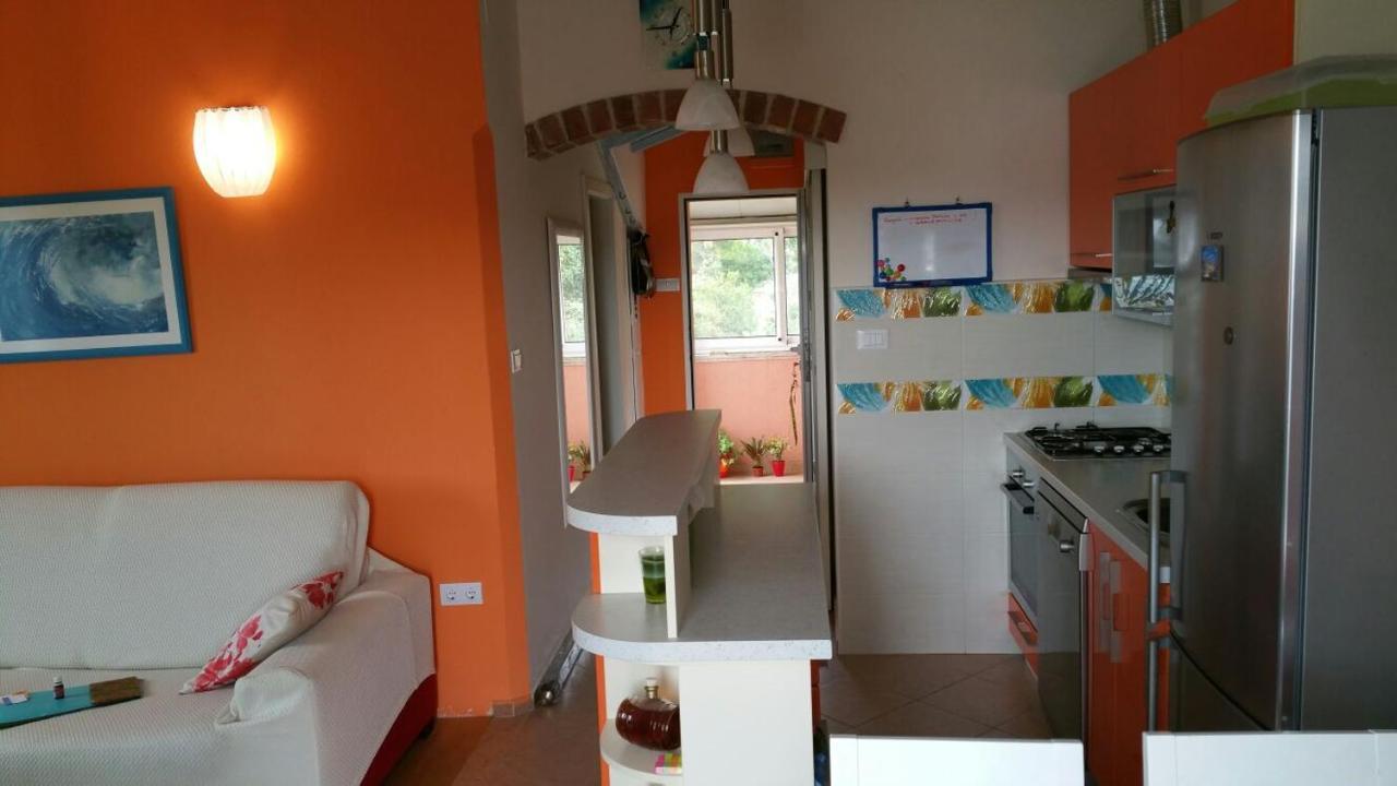 Tri Palme Apartman Prvic Sepurine Kültér fotó